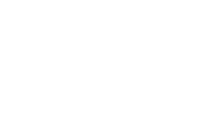 Logo Schockemöhle