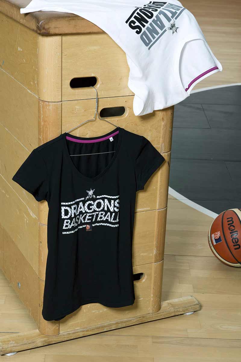 dragons-merchandise3